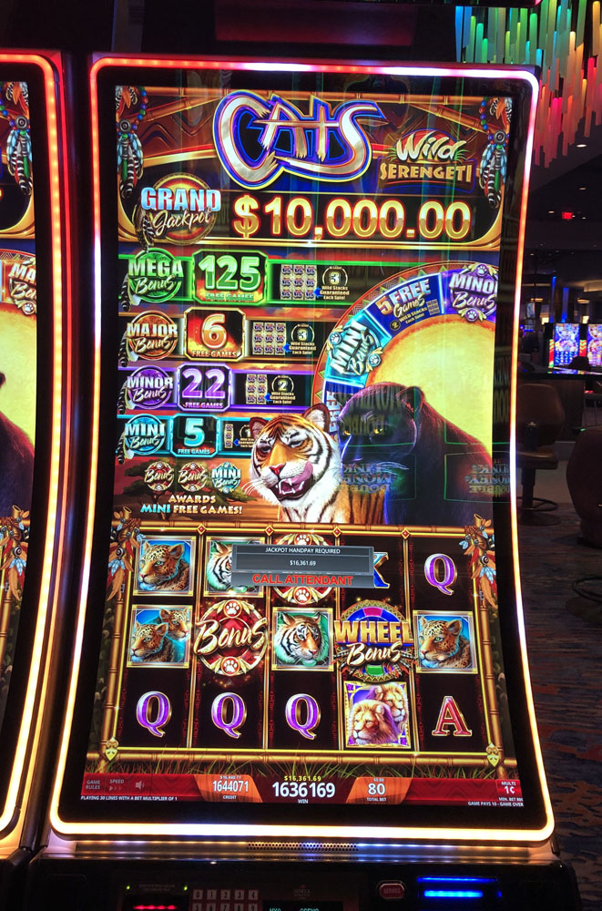 $16,362 on Cats Wild Serengeti on October 5