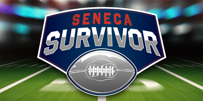 SRC 07 Sbsurvivorpool 9503847545 Web 670X335